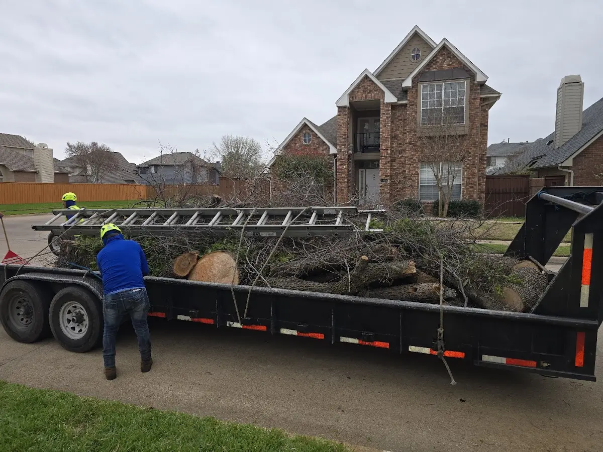 Expert Tree Fertilization with proper safety equipment in Gaffney
